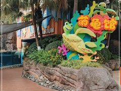 -海合安成都极地海洋公园
