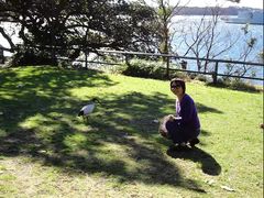 -麦考利夫人座椅