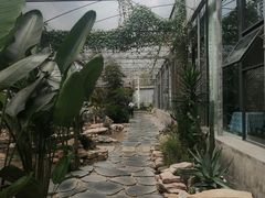 -桉树林A coffee 森林餐厅(三圣乡店)