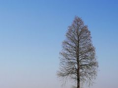 -良渚古城遗址公园
