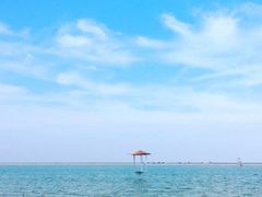 -碧海金沙