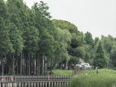 -苏州太湖湖滨国家湿地公园