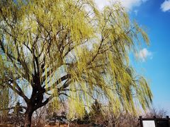 -北京西山国家森林公园