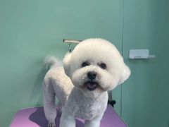 -喵宠乐园·撸猫互动·猫舍