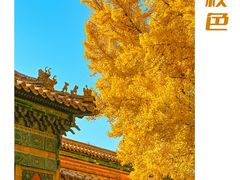 -故宫博物院(故宫)