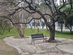 -南京航空航天大学(明故宫校区)