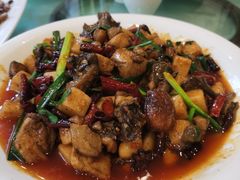 饵块鸡-红豆园(文林街店)