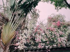 -深圳国际园林花卉博览园