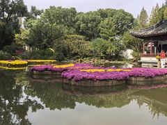 -汇龙潭