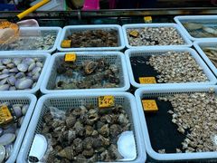 -都斛海鲜街