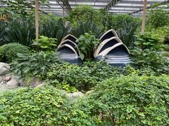 -南宫五洲植物乐园