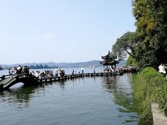 -柳浪闻莺公园