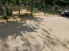 -长白岛森林公园