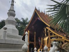 -西双版纳傣族园