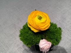 -南堂馆·新川菜(春熙路店)