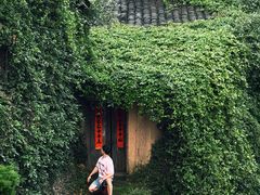 -杨家堂村