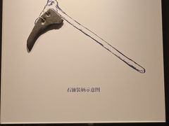 -上海崧泽遗址博物馆