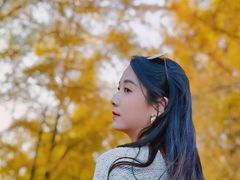 -三里屯东五街银杏大道