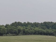 -钟山体育运动公园