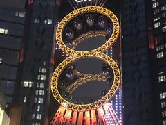 -影汇之星8字形摩天轮