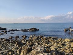 -养马岛旅游度假区