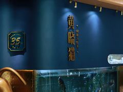 -黄晓猫剁椒大鱼头(海岸城店)
