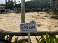-广东惠东海龟国家级自然保护区