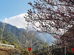 -冕宁灵山寺
