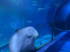 -邯郸海洋世界