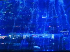 -成都浩海立方海洋公园