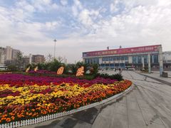 -商丘站