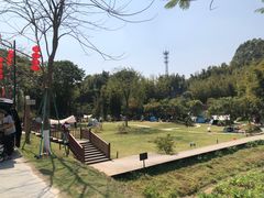 -黄埔油麻山森林公园