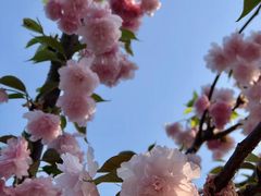 -观澜湖生态运动公社