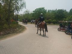 -上海海湾国家森林公园