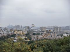 -福道
