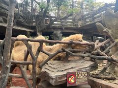 -长鹿旅游休博园