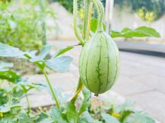 -红黄蓝幼儿园(颐东苑店)