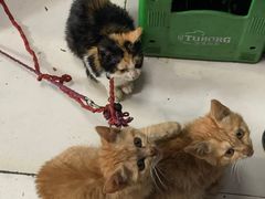 -老丘丘(较场口店)