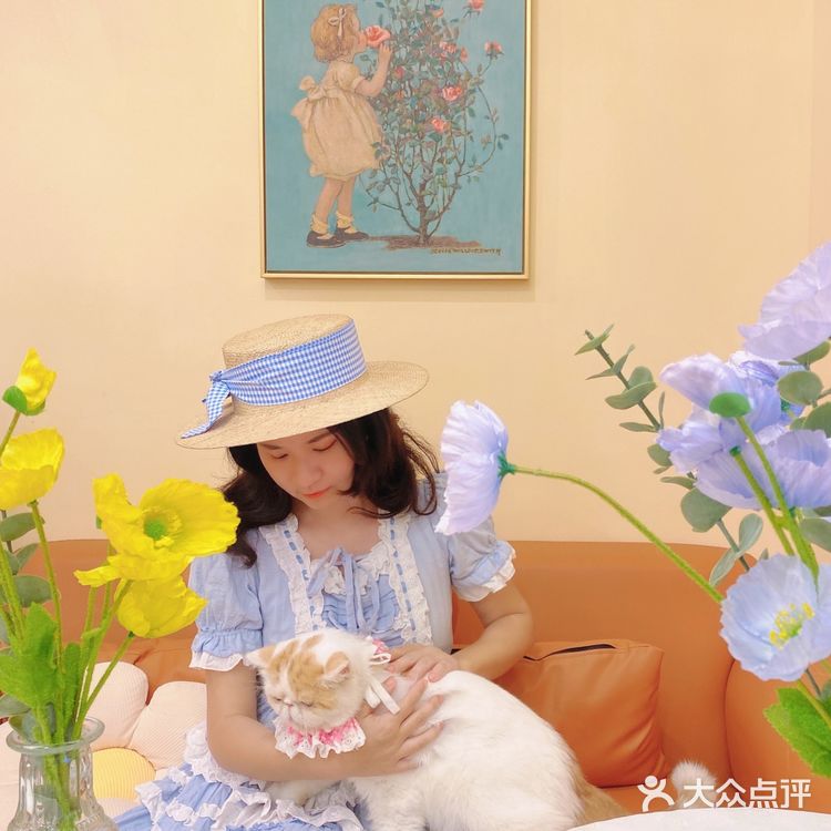 🎀治愈系萌宠馆！穿洛丽塔和羊驼梅花鹿一起玩