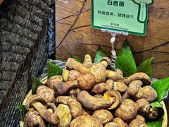 -黔蘑菇四季餐厅(观山湖店)