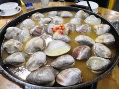 -顺德哥卜卜贝(旗舰店)