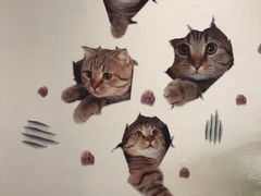 -藏猫猫咖啡主题馆(中央大道店)