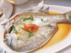 清蒸海鲈鱼-外婆小聚茶餐厅·生日·团建(市民中心店)