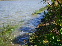 -天津东丽湖风景区