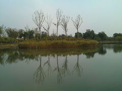 android_upload_pic-阳澄湖费尔蒙酒店