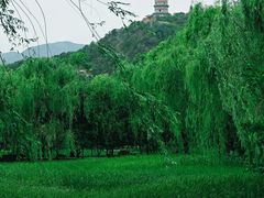 -北坞公园