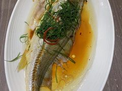 -惠如樓(白云机场T2国际出发店)