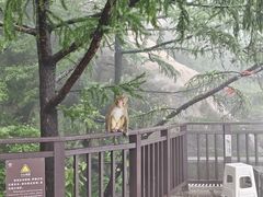 -崂山巨峰游览区