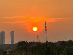-金丹酱板鸭营业厅(紫缘路店)