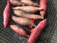 -雨露空间(嘉善施家店)